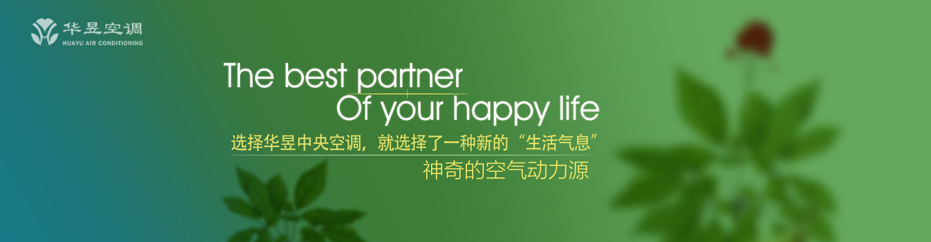 蜚英腾茂网